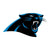  Carolina Panthers