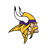 Minnesota Vikings